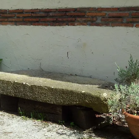 Ibarra * Amorebieta-Etxano