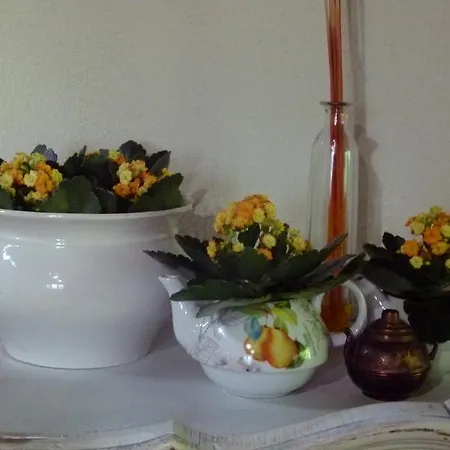 Country house Ibarra *