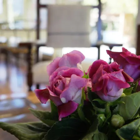 Ibarra Country house