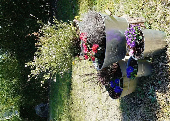 Ibarra Amorebieta-Etxano