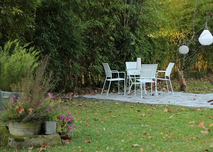 Ibarra Amorebieta-Etxano